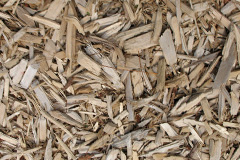 biomass boilers Troearhiwgwair